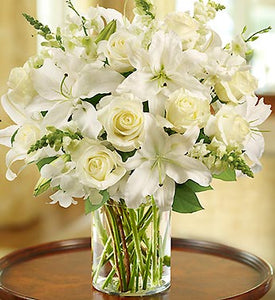 Catalina - MyFlowerDepot