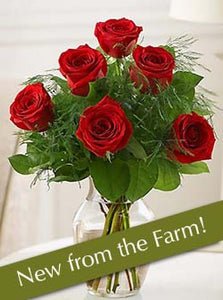 Devotion - MyFlowerDepot