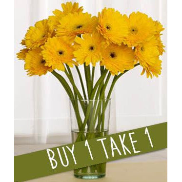 Dandy Daisies - MyFlowerDepot