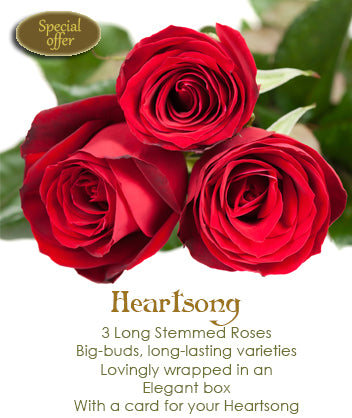 Heartsong, Red - MyFlowerDepot