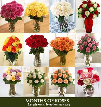 Monthly Roses - MyFlowerDepot