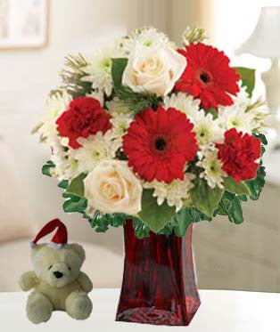 Santa Baby - MyFlowerDepot